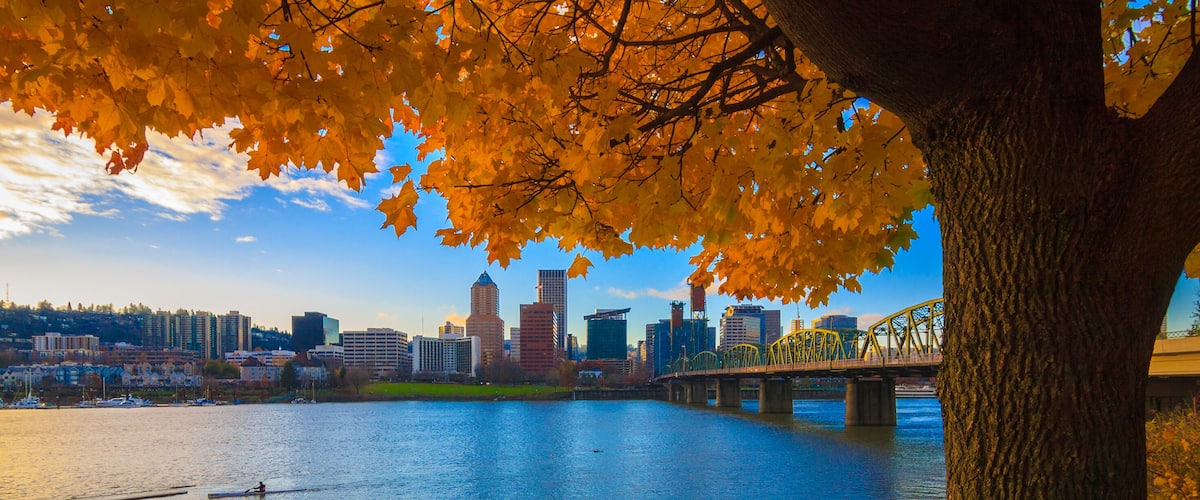 View of Portland, Oregon overlooking the willamette river on a Fall Afternoon