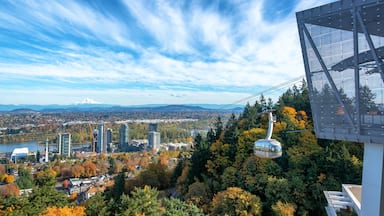 A cable car in a forested area with a cityscape in the background, including a prominent mountain.