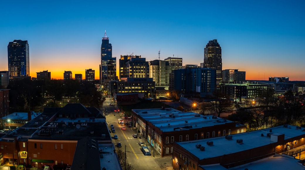Panoramic View of Downtown Raleigh During Early Sunrise