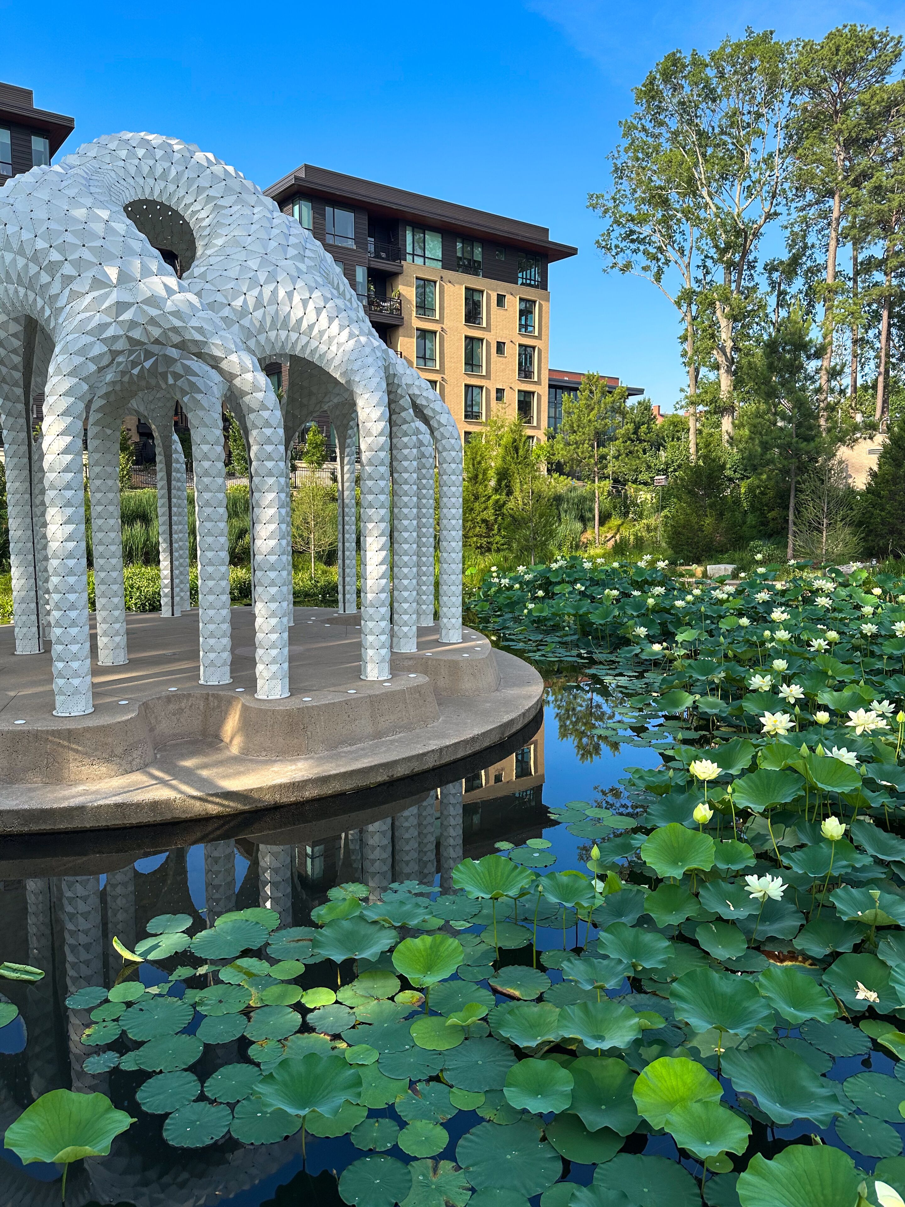 A modern public art installation overlooks a blooming lotus pond at Downtown Cary Park, blending contemporary design with landscaped gardens in Cary, North Carolina.