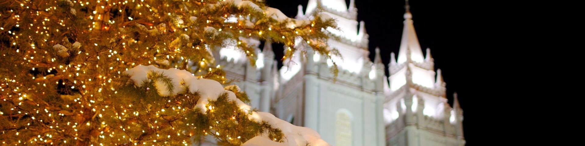 Snow-covered tree adorned with lights near a historic building in Salt Lake City, Utah during the winter evening