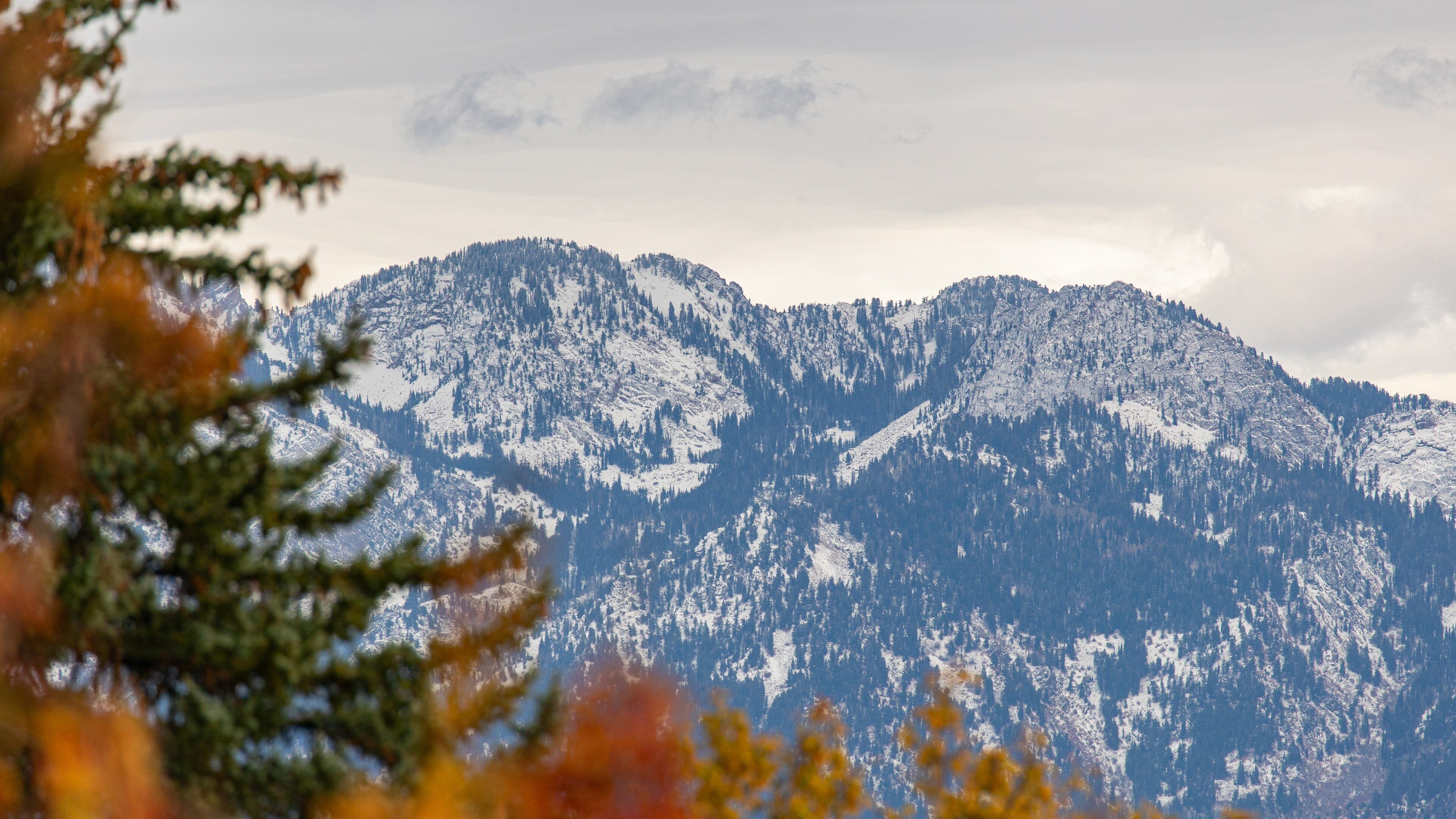 Salt Lake City which includes mountains and snow