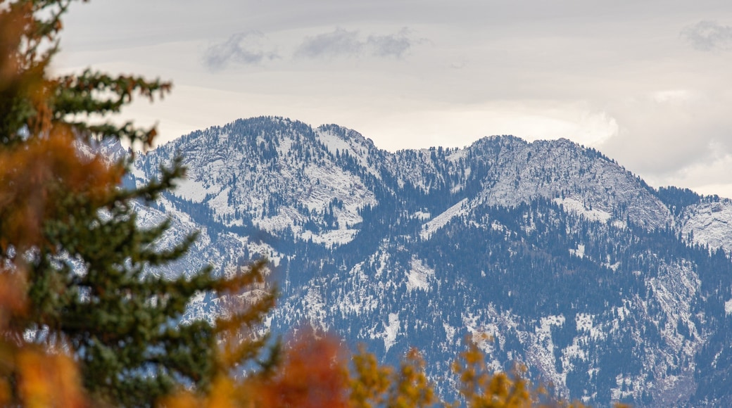 Salt Lake City which includes mountains and snow