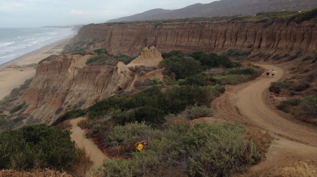 In San Onofre California they have camp grounds on the bluffs and great #hiking trails with the most beautiful views where the bluffs meat the ocean.