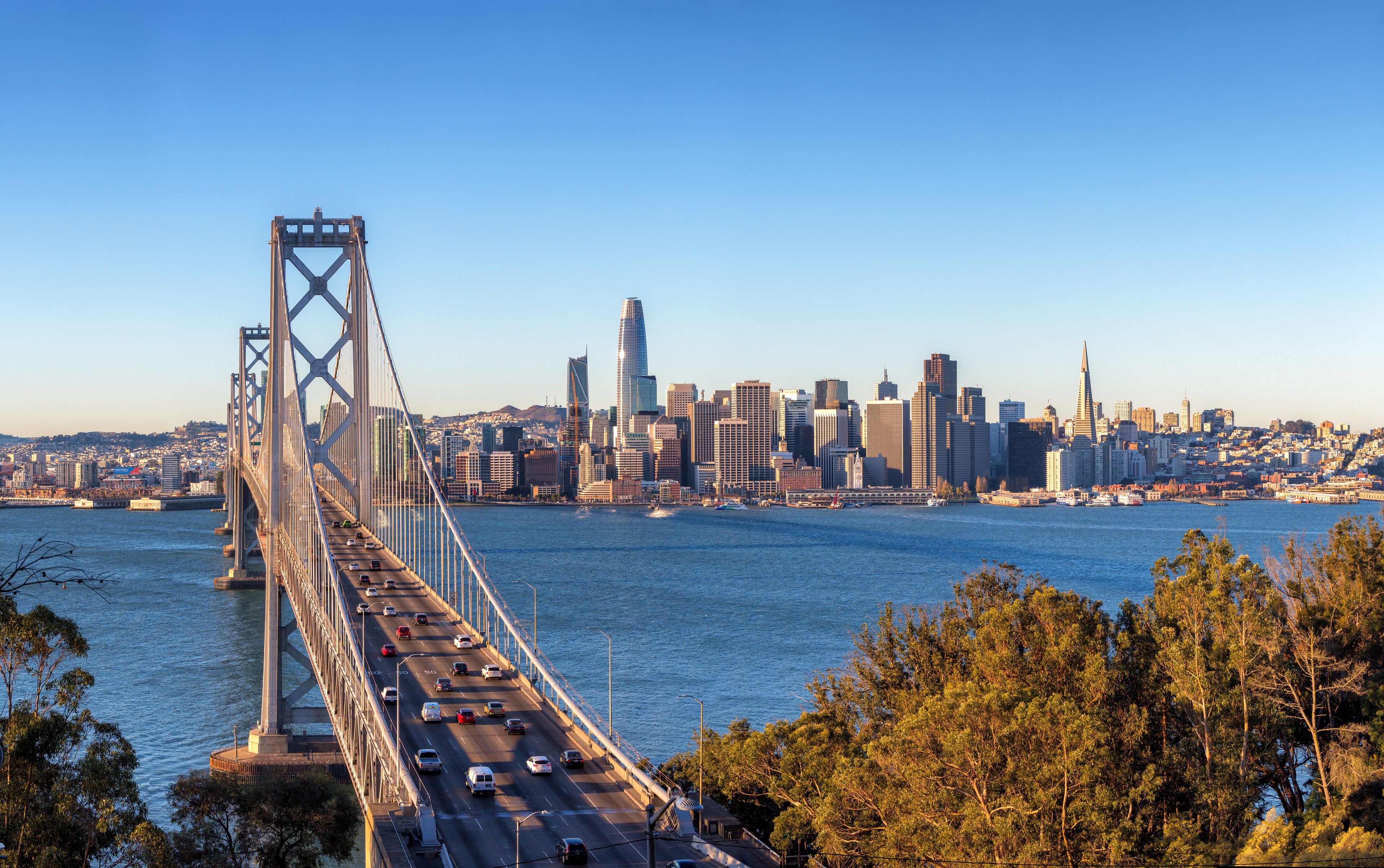 A bridge spanning a river with a city skyline in the background.