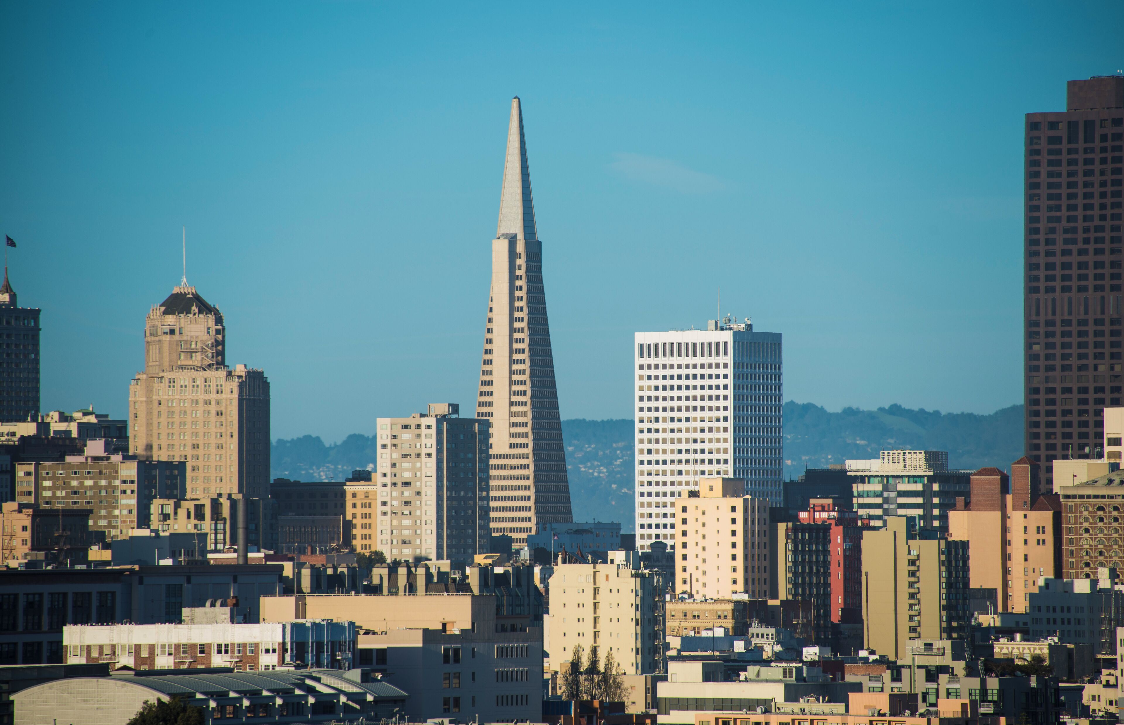 San Francisco SEO Uploads