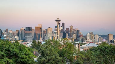 Seattle showing a city, a sunset and landscape views