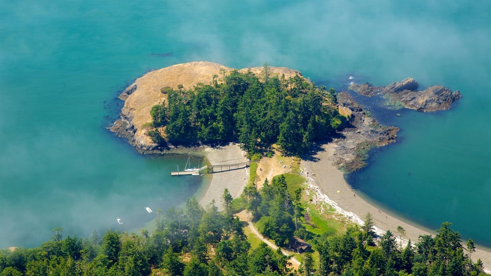 An aerial view of a small island with a dock, surrounded by clear turquoise waters and dense green forests.