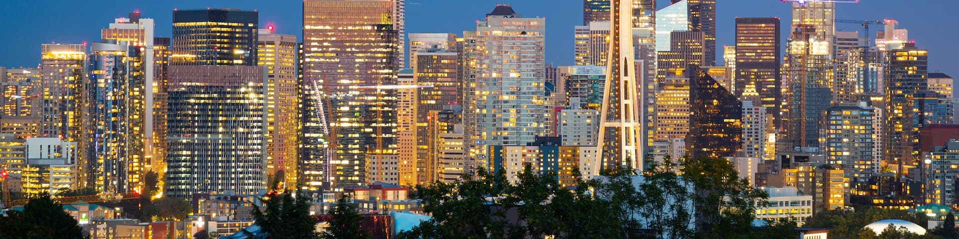 Seattle which includes landscape views, night scenes and a city