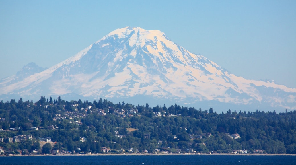 Seattle showing a coastal town, snow and mountains