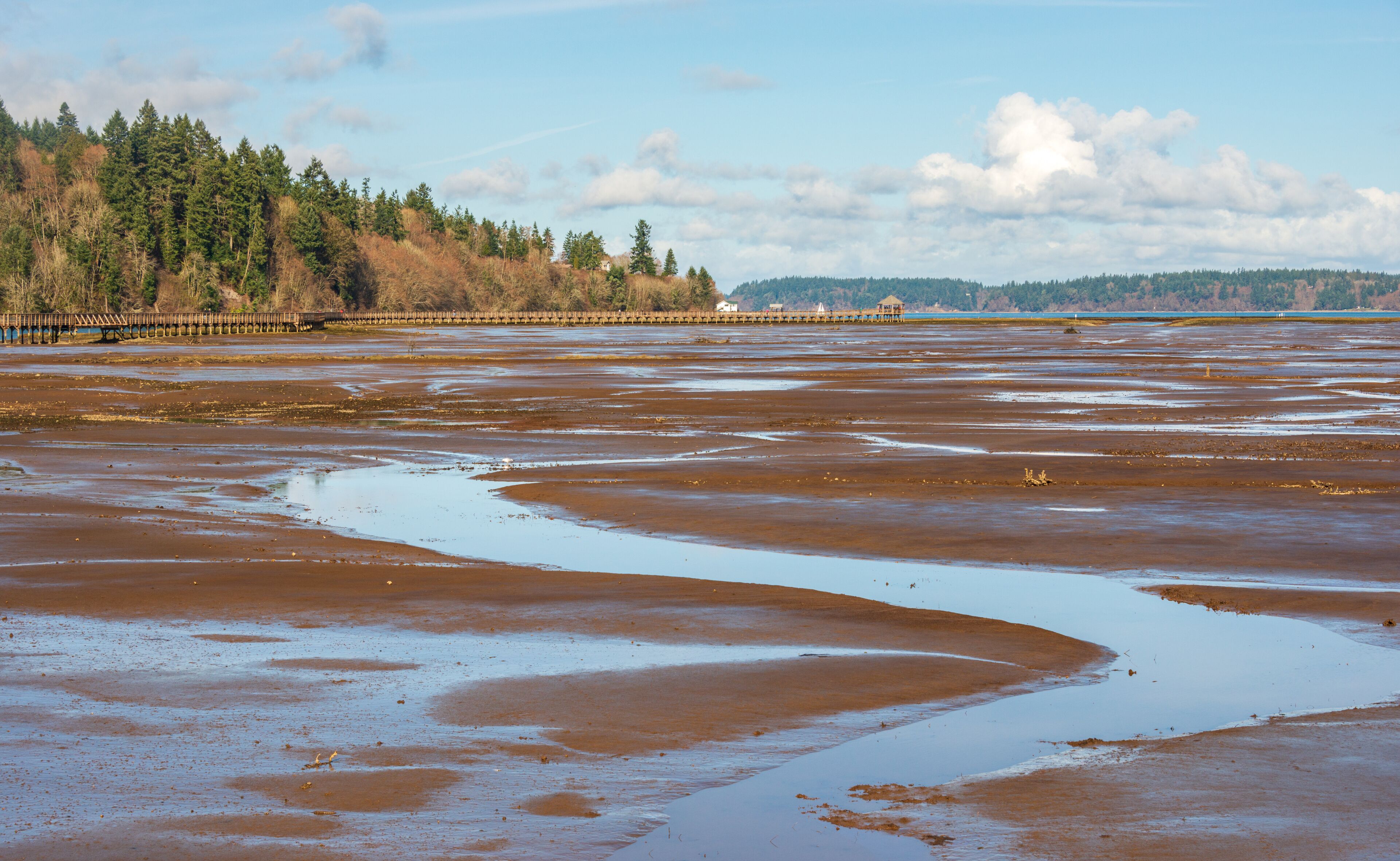 A coastal landscape with a wooden bridge, a sandy beach, and a forested hill in the background.