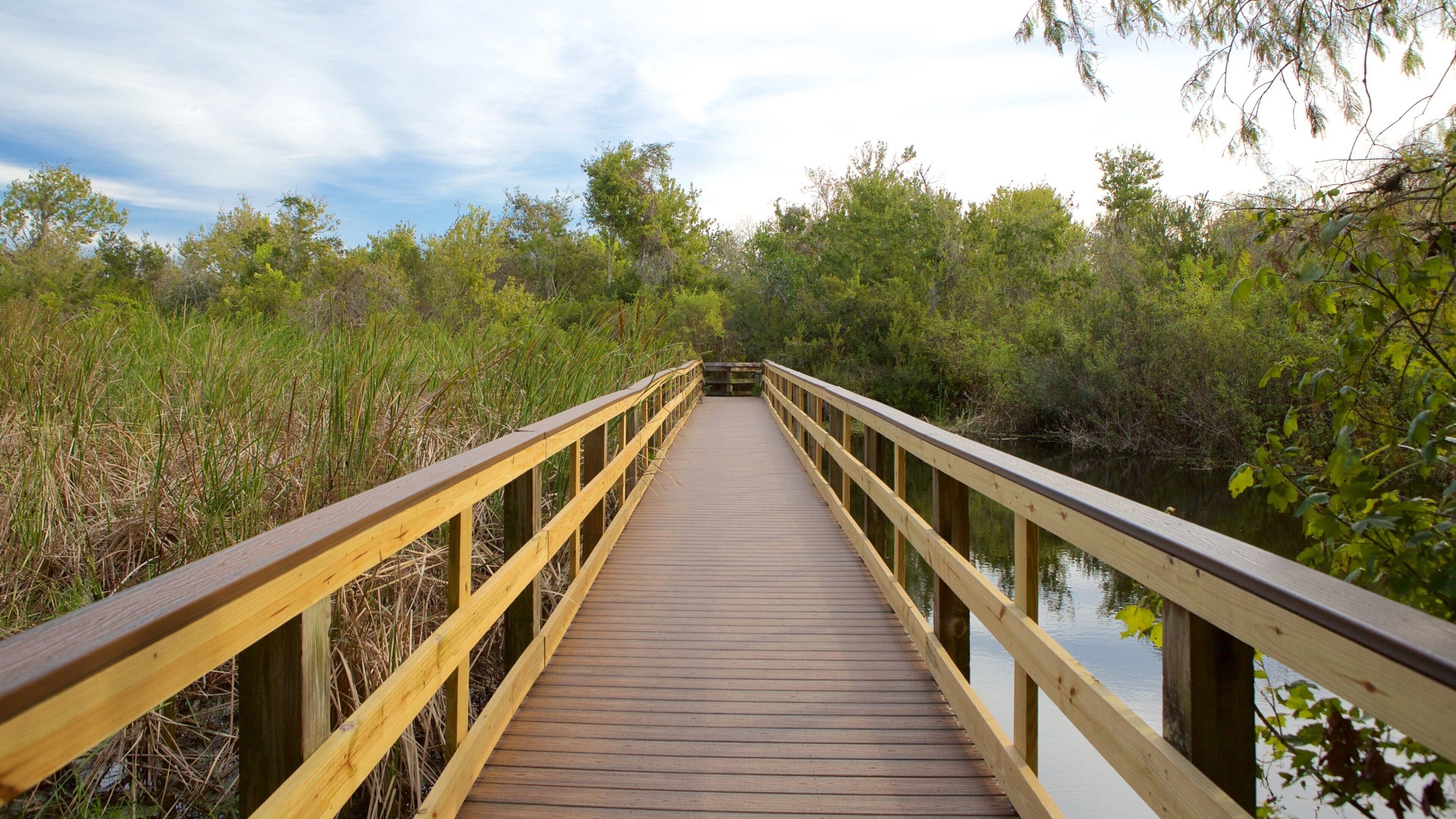 St. Petersburg featuring a bridge
