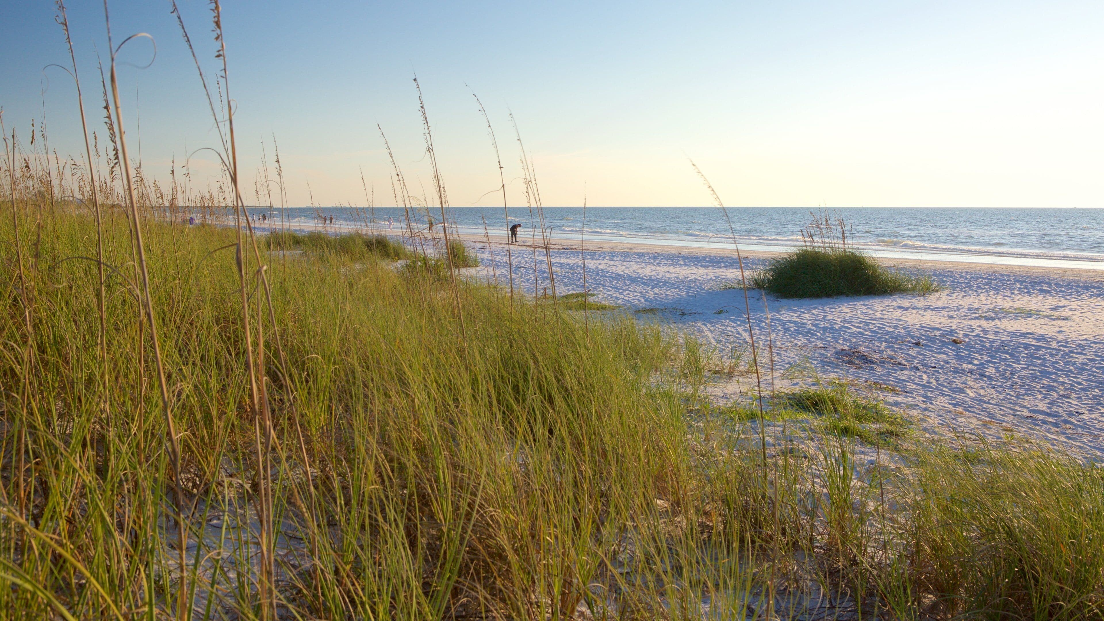 St. Petersburg - Clearwater which includes a beach