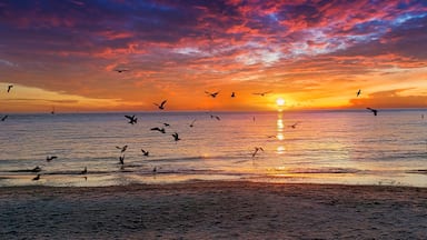 A beautiful sunset and silhouette of couple walking along the shoreline on the sand, taken at Clearwater Beach, Florida