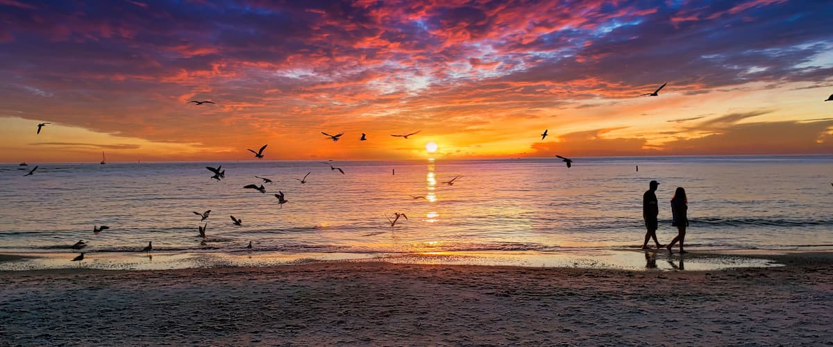 A beach at sunset with birds flying and a person walking.