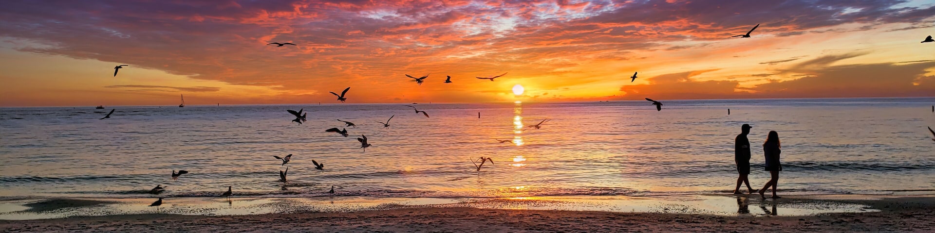 A beach at sunset with birds flying and a person walking.