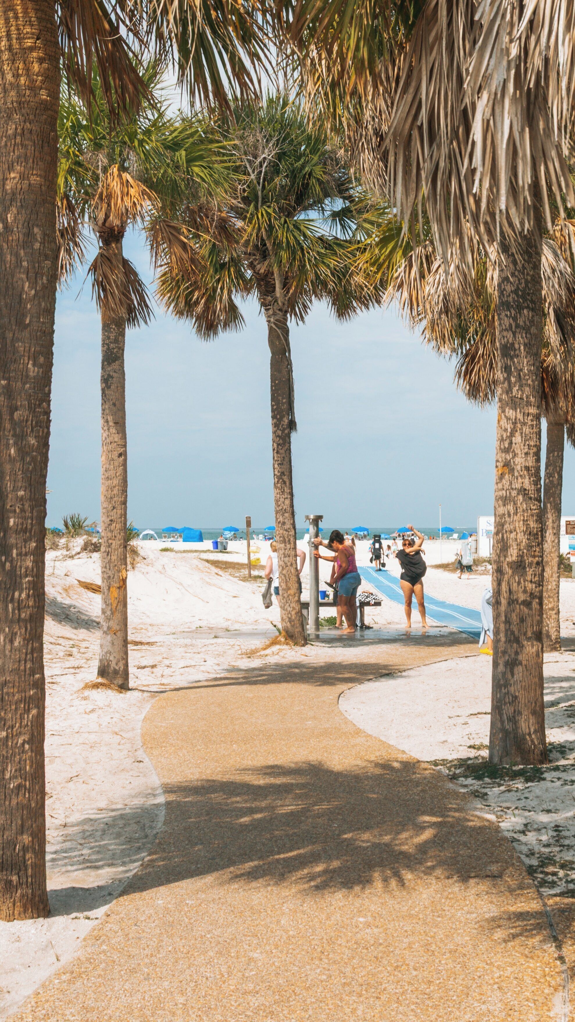 Strolling along the sandy pathways of Sand Key Park in Clearwater Beach, Florida, with palm trees reflecting a sunny day by the shore