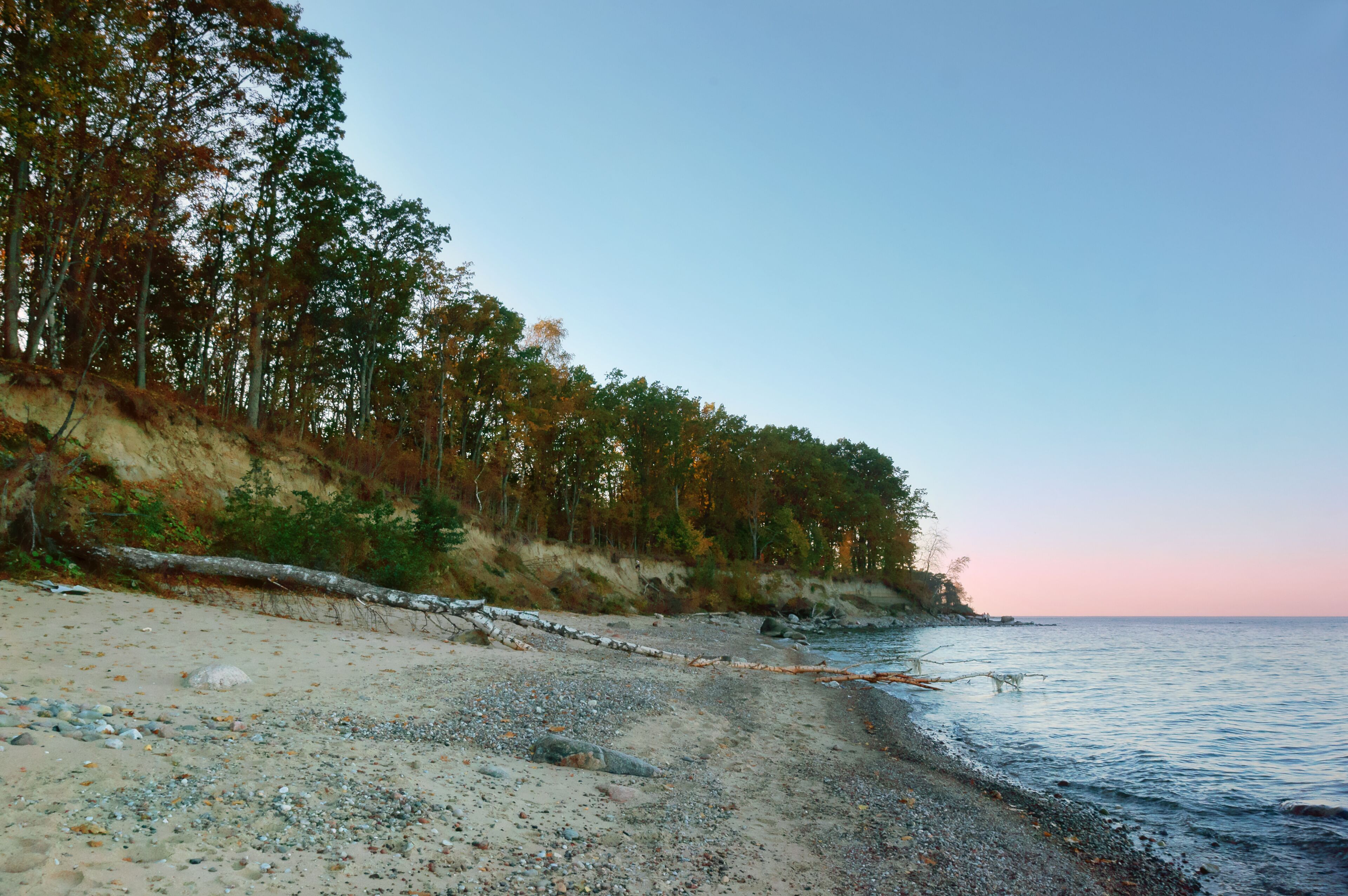 A pebbly beach with a forested cliff and calm sea.