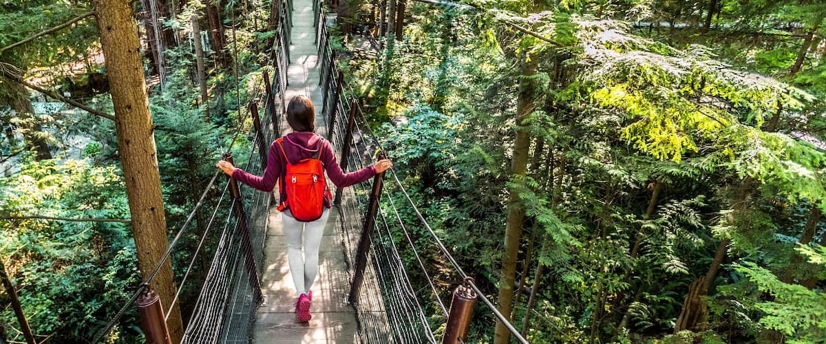 Una persona camina sobre un puente colgante rodeado de un bosque denso.