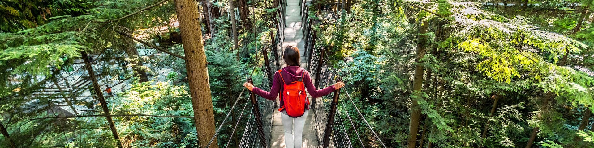 A person walking on a suspension bridge surrounded by dense forest.
