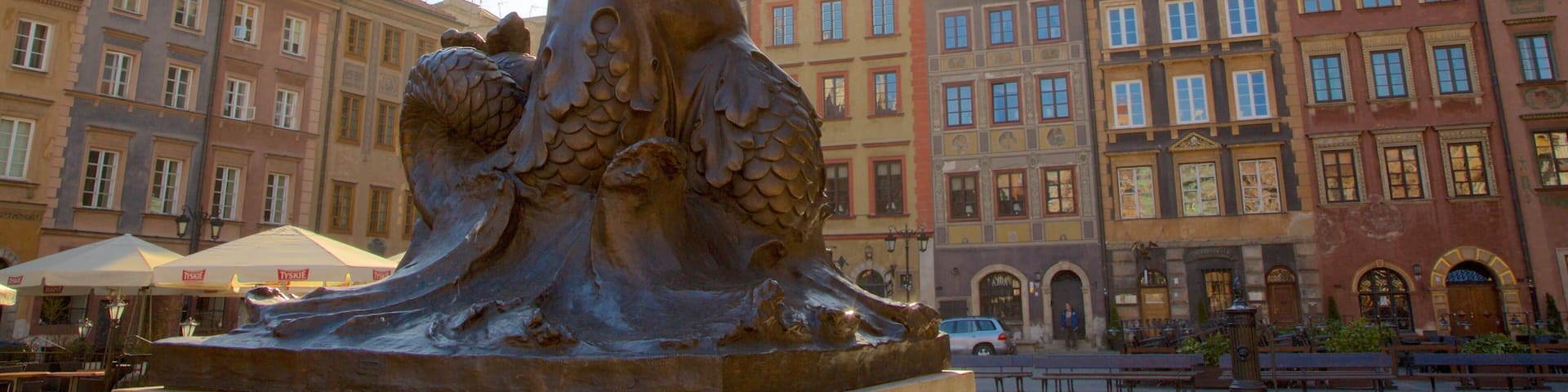 Warsaw showing a square or plaza and a statue or sculpture