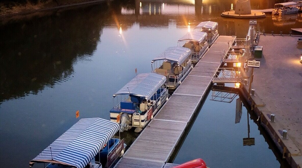 Never be afraid to photograph at night. This was a hand held shot of the forks at the Assiniboine river. Taken from the bride overhead.