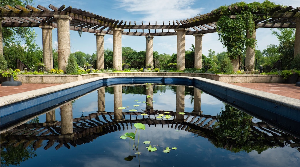 Taken from the pavilion at Assiniboine park. Lucky there was water in the pond, usually there isnât . Used a 16 1.4 @ F8 too bright for anything lower.