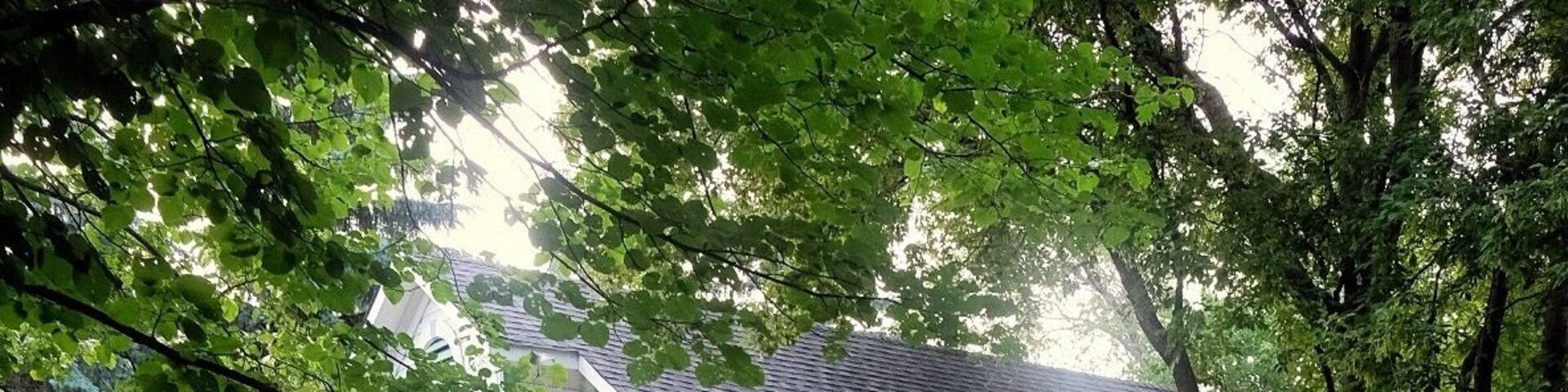 Inside the Léo Mol sculpture garden is this building that is actually a museum of smaller work. Best time to photograph this is late evening before sunset