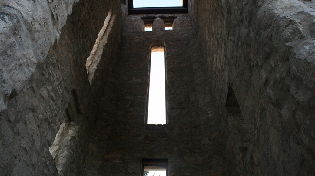 #travel #ruins #winnipeg #stbonifacecathedral