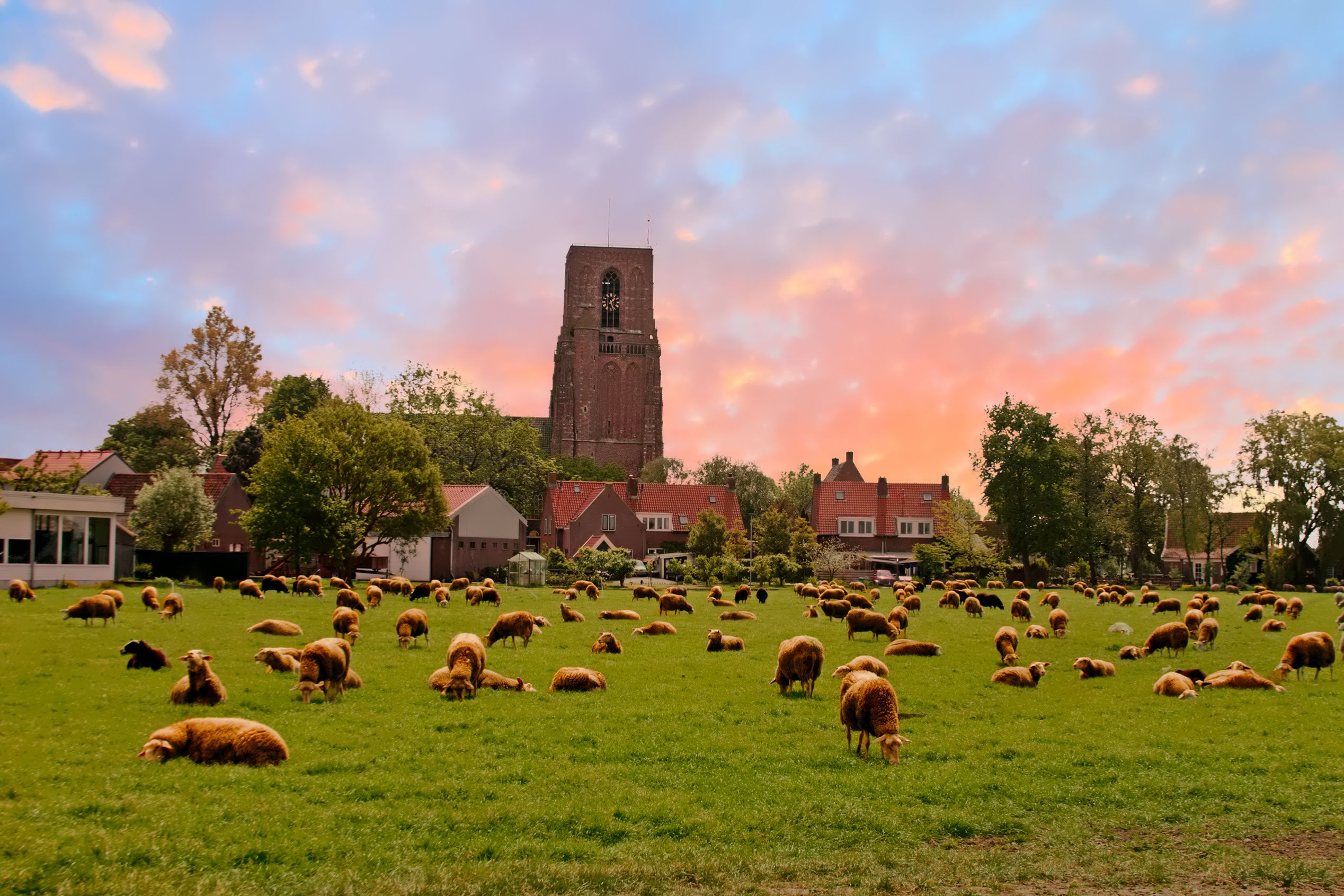 Zunderdorp