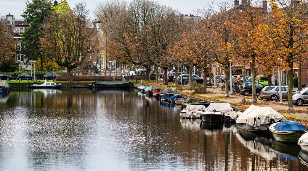 ๋ณด์ค ์ ๋ก๋ฉ๋ฅด