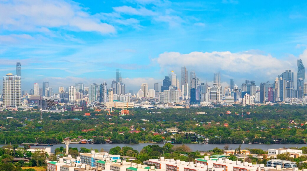 Panoramic view of actively developing area metropolis with large natural island by river in reserve park trees and tropical jungle, residential, industrial and business center, urban modern cityscape
