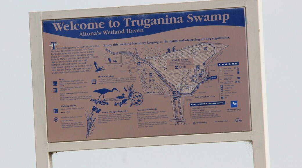 Truganina Swamp is a great birdwatching destination, nestled in the western suburbs of Melbourne. I saw so many species of birds here that I had never seen before. It is a short walk from Westona train station on the Altona line. #localgem