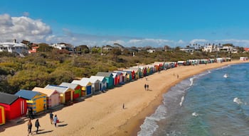 BRIGHTON BEACH, AUSTRALIA - SEPTEMBER 2018: Aerial view of Brighton Beach Colourful Huts, Victoria, Australia