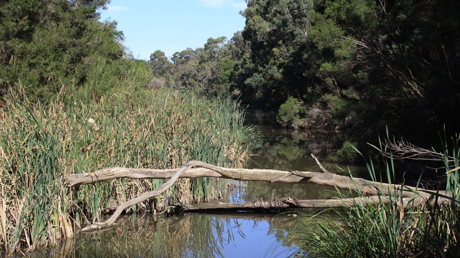 A quiet oasis in an area of relentless suburbia.