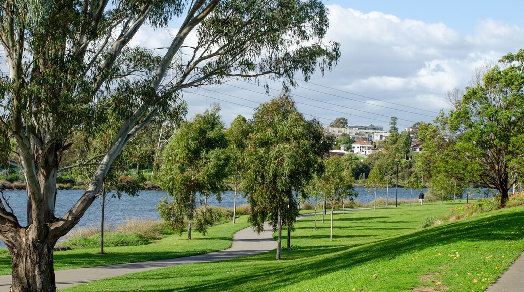 Beautiful footpath or walking trail with lush green grass and trees along the riverbank of Maribyrnong river. Tranquil scenic riverwalk in a public park of a Melbourne’s suburb. VIC Australia