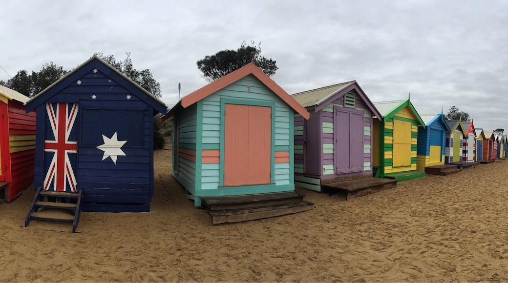 Panoramic view of the brightly-coloured Brighton Beach shacks.
Try to pick a favourite... My fave has a big crab painted on the doors! 🦀