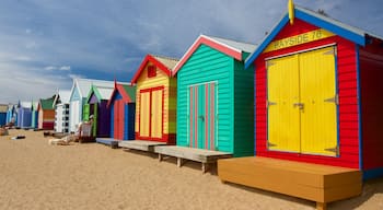 Brighton montrant plage et maison