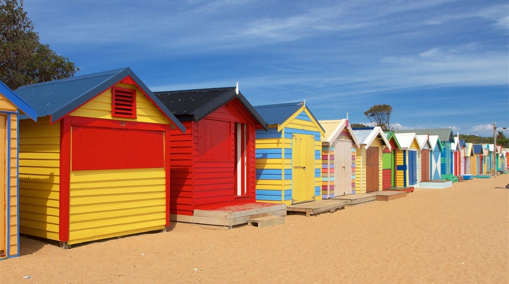 Brighton which includes general coastal views and a sandy beach