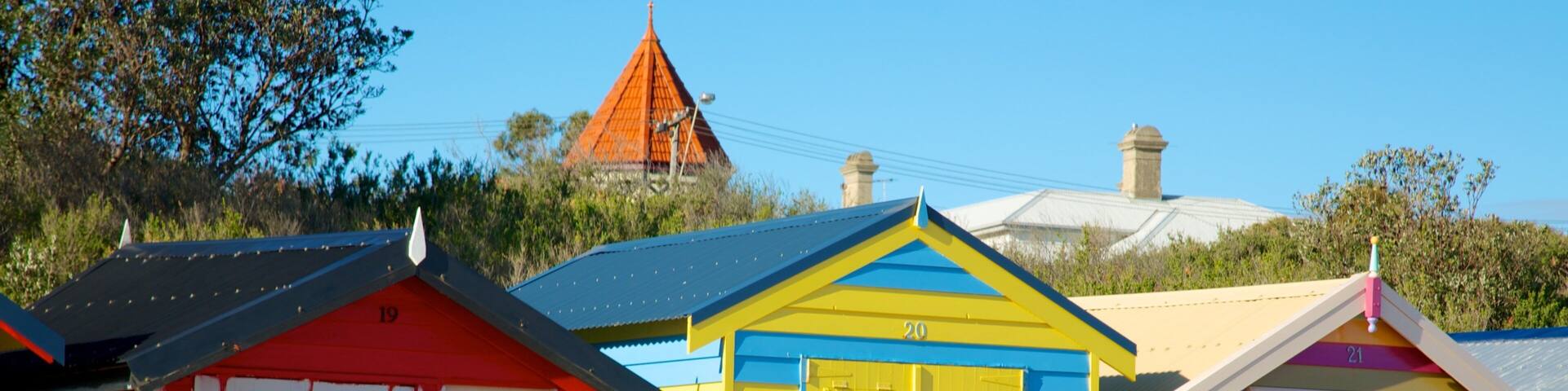 Brighton featuring a beach and general coastal views