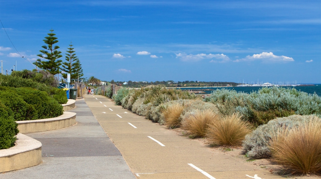 Brighton which includes a park