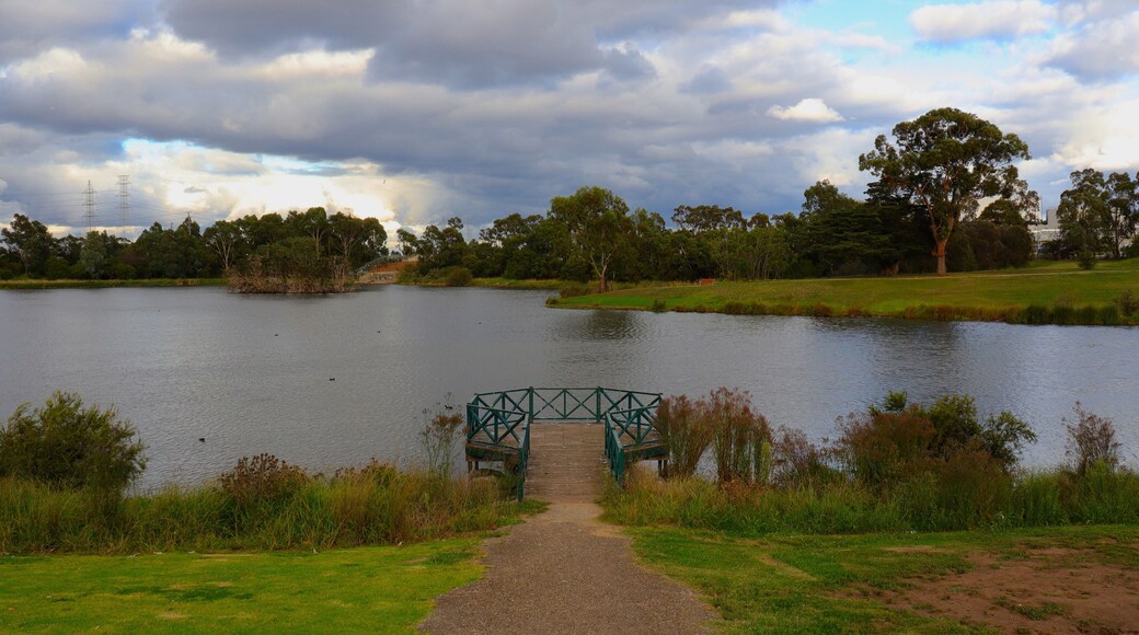 布羅德梅多斯區