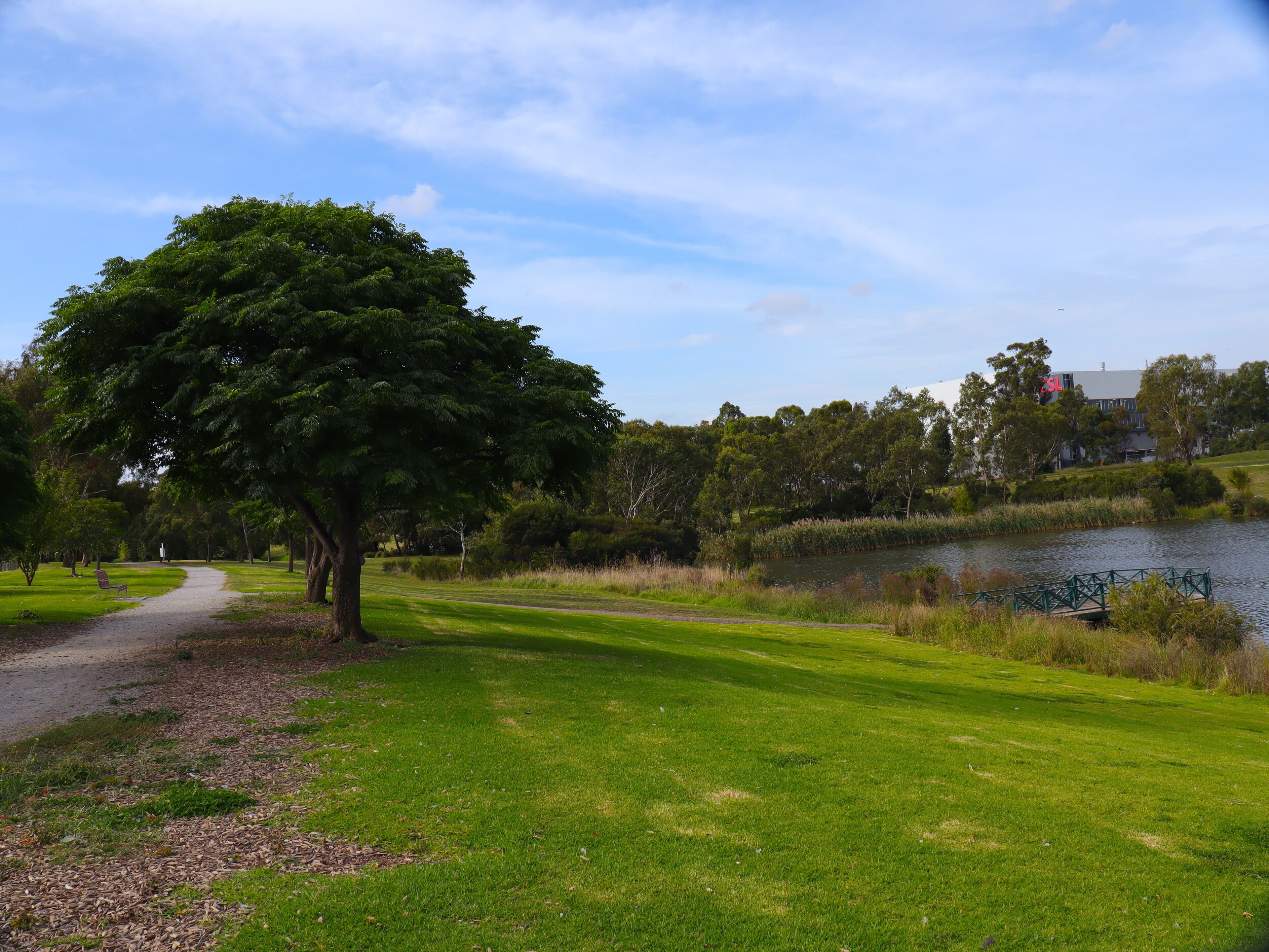 Park with a big lake in melbourne Australia