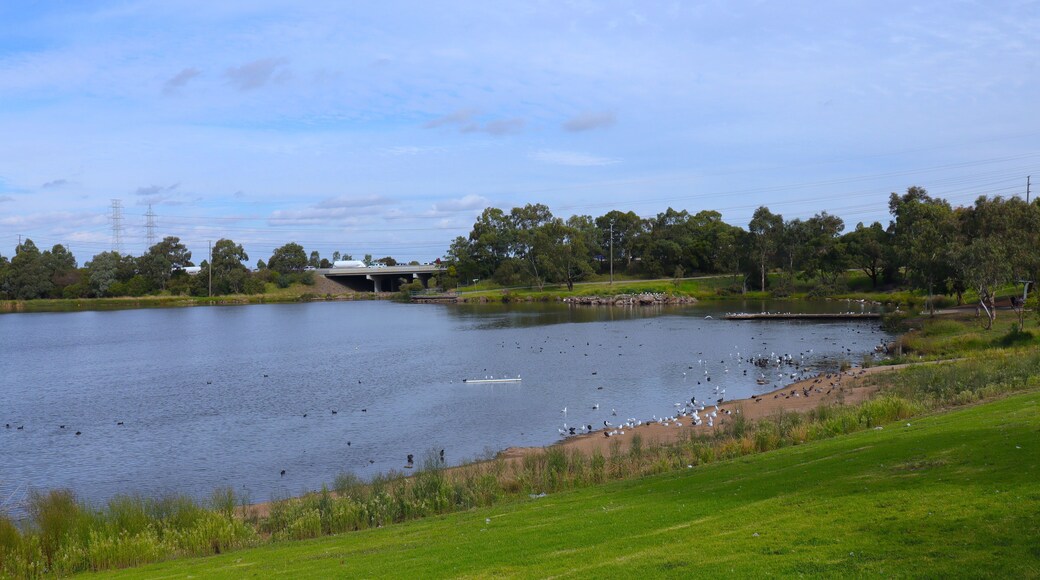 Park with a big lake in melbourne Australia