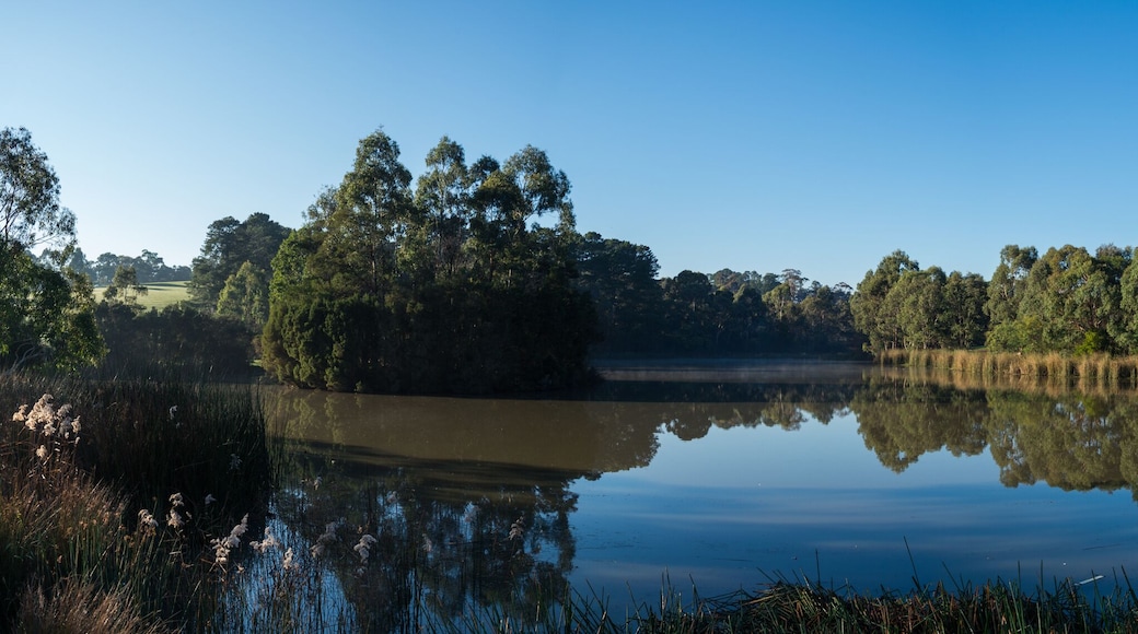 Ruffey Lake Park in Doncaster in Melbourne, Australia