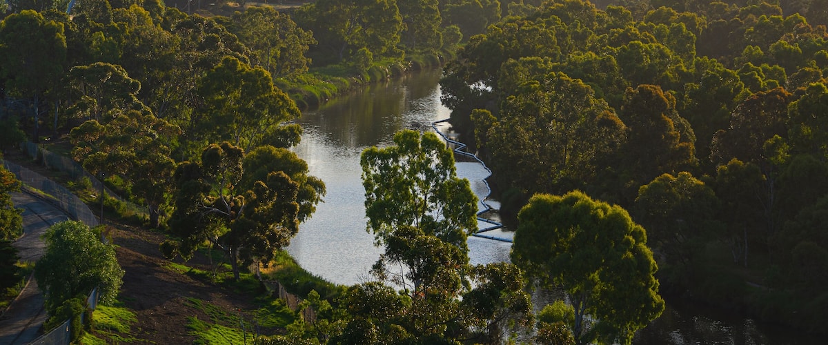 Maribyrnong River flowing between trees in Essendon West, Melbourne, Australia