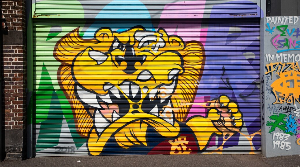 Fitzroy featuring outdoor art