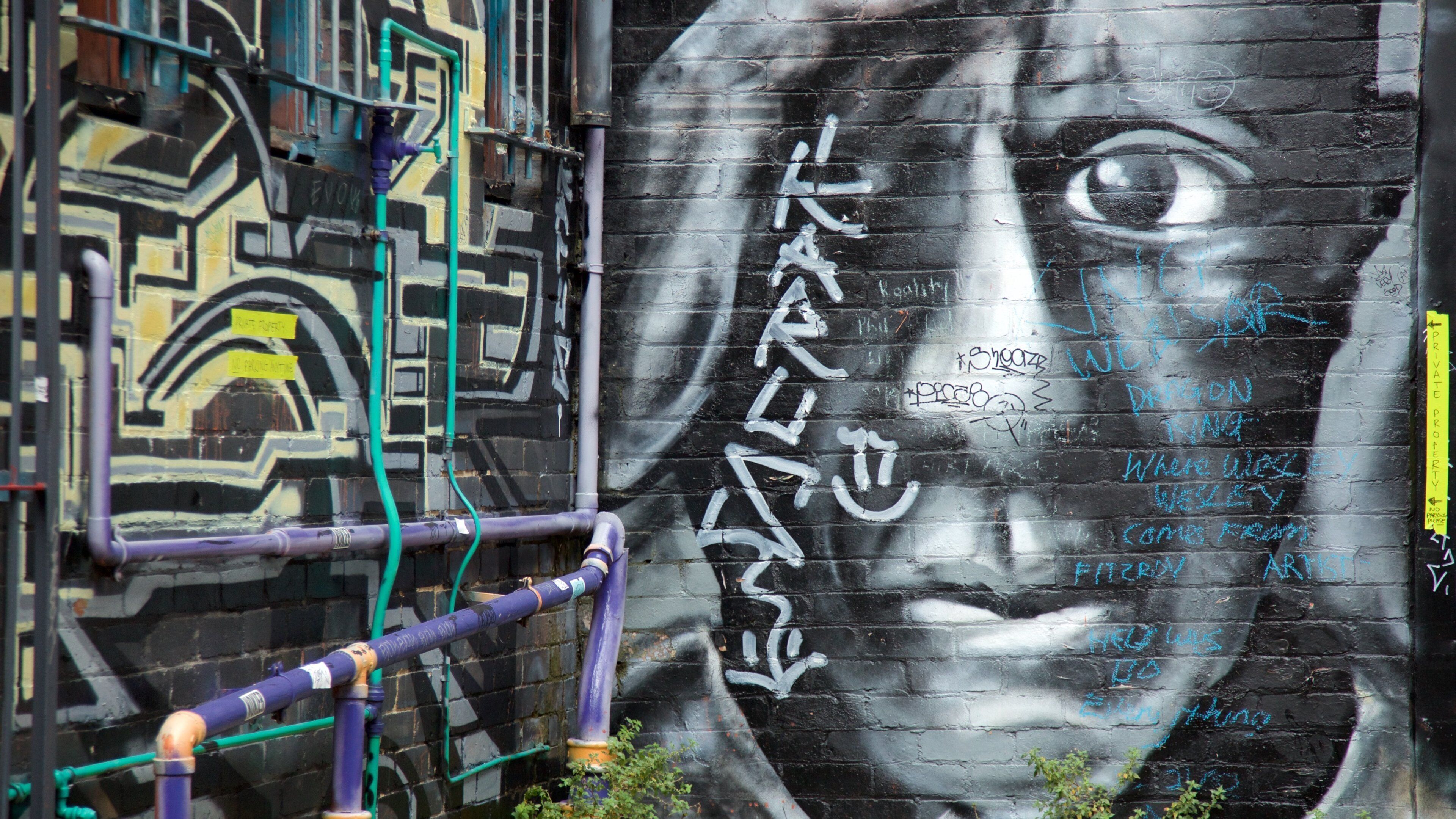 Fitzroy presenterar utomhuskonst