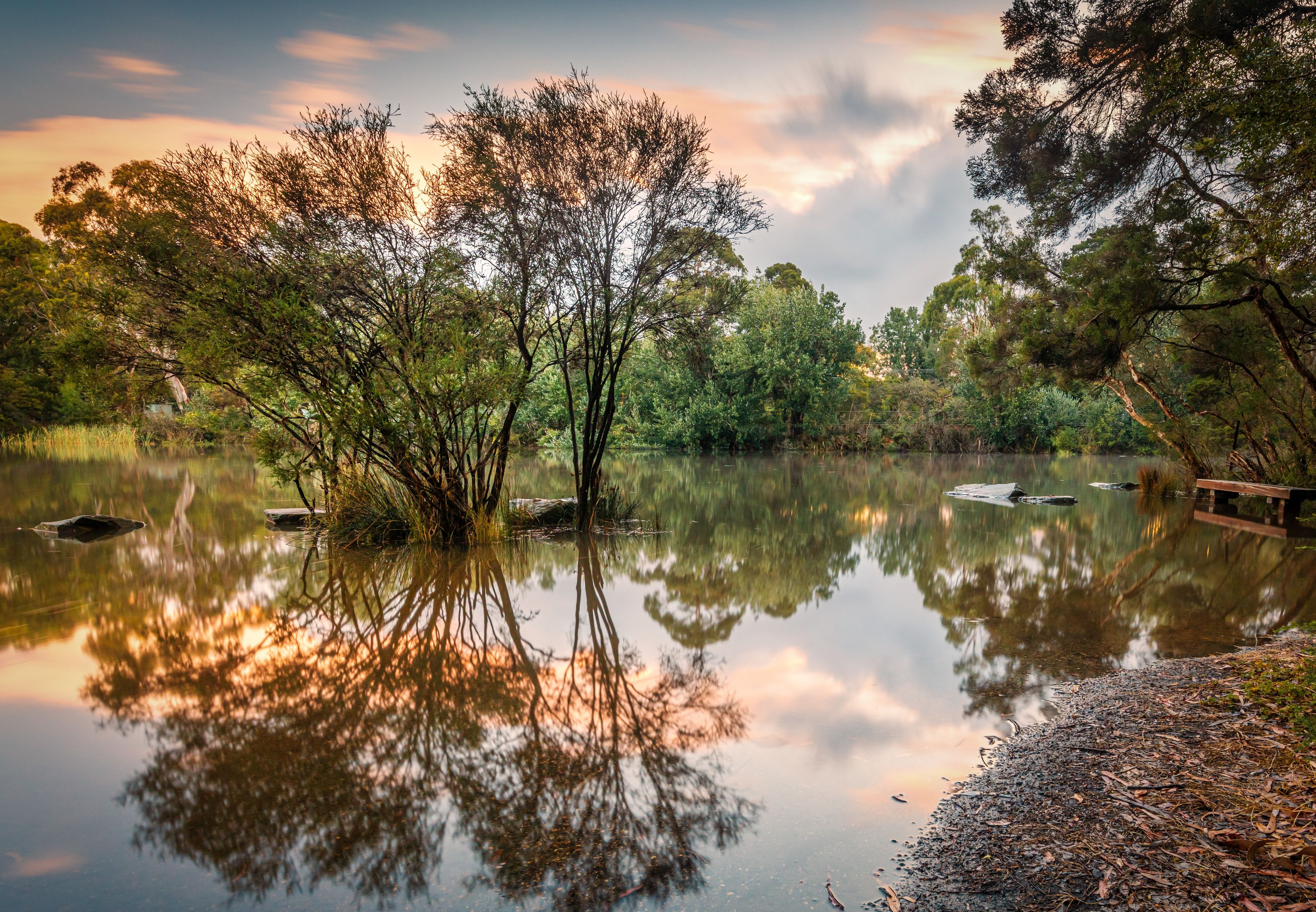Un lago tranquilo rodeado de árboles frondosos y un puente de madera.