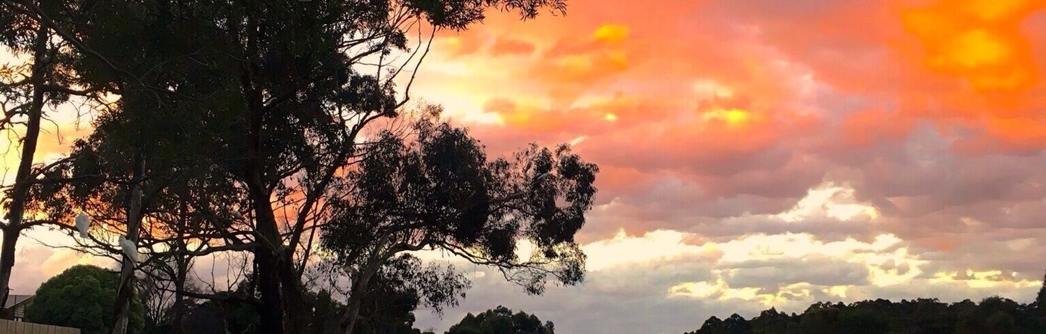 "Cackling Cockatoos"
#TakeAHike on the edge of suburbia!
Bushy Park Wetlands is a 74 acre conservation park in my neighbourhood and is managed by Parks Victoria.
#GoldenHour
#Sunset
#PhysicalActivity